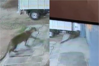 Img 20241023 Wa0387.jpg