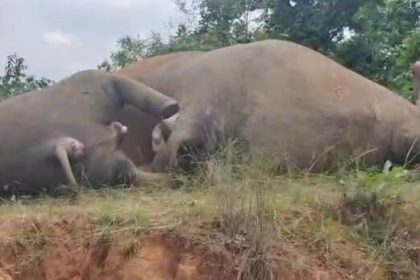 Screenshot 2024 10 26 112235 E1729921944452.jpg