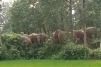 Whatsapp Image 2024 10 23 At 11.52.32 Am.jpeg