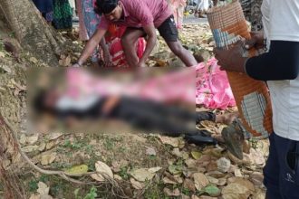 Whatsapp Image 2024 10 25 At 8.30.13 Pm.jpeg