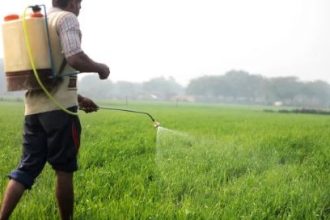 Whatsapp Image 2024 10 27 At 7.39.31 Pm.jpeg