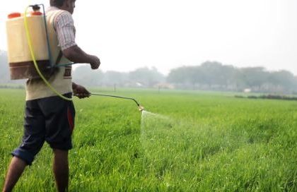 Whatsapp Image 2024 10 27 At 7.39.31 Pm.jpeg