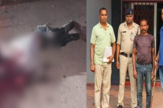 Whatsapp Image 2024 10 29 At 9.14.23 Pm.jpeg