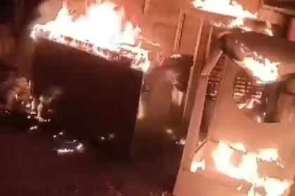 4143592 Untitled 22 Copy.webp.webp