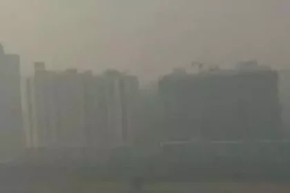 4146269 Untitled 7 Copy.webp.webp