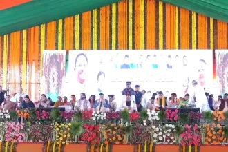 4148546 Untitled 33 Copy.webp.webp