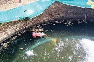 4149771 Untitled 86 Copy.webp.webp