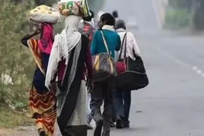 4149935 Untitled 10 Copy.webp.webp