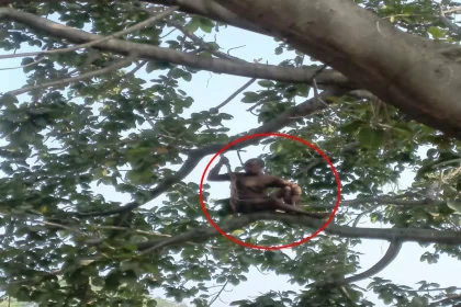 4155494 Untitled 8 Copy.webp.webp