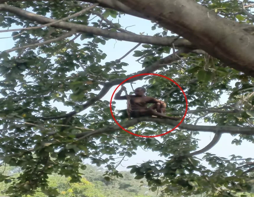 4155494 Untitled 8 Copy.webp.webp