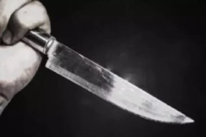 4156127 Untitled 30 Copy.webp.webp