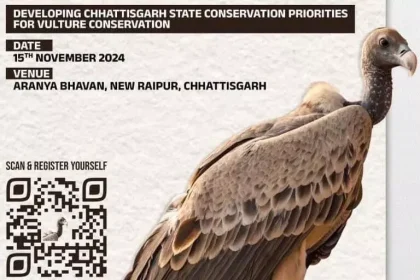 4162525 Untitled 7 Copy.webp.webp