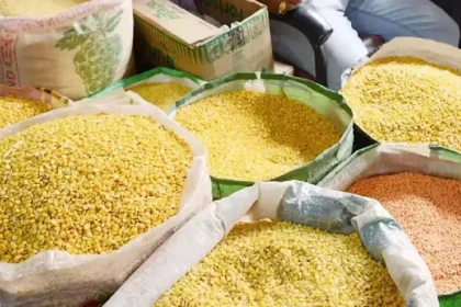 4166820 Untitled 2 Copy.webp.webp