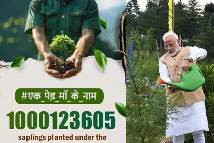 4167095 Untitled 15 Copy.webp.webp