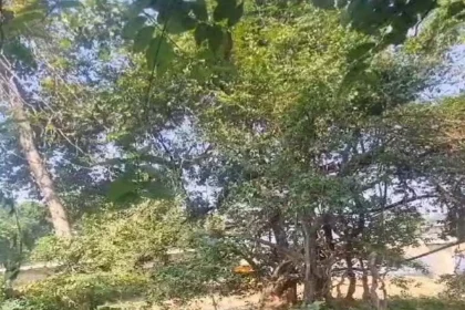 4167814 Untitled 10 Copy.webp.webp