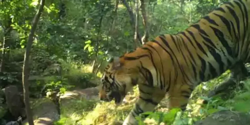 4171988 Untitled 33 Copy.webp.webp