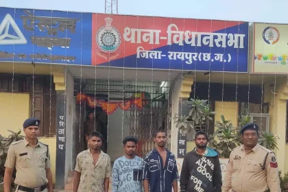 4173161 Untitled 3 Copy.webp.webp