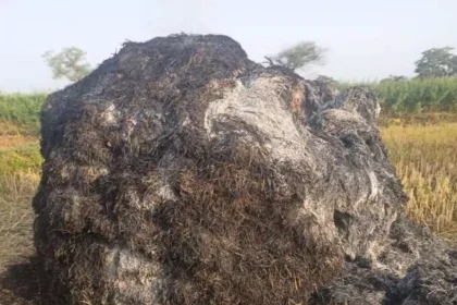 4173363 Untitled 43 Copy.webp.webp