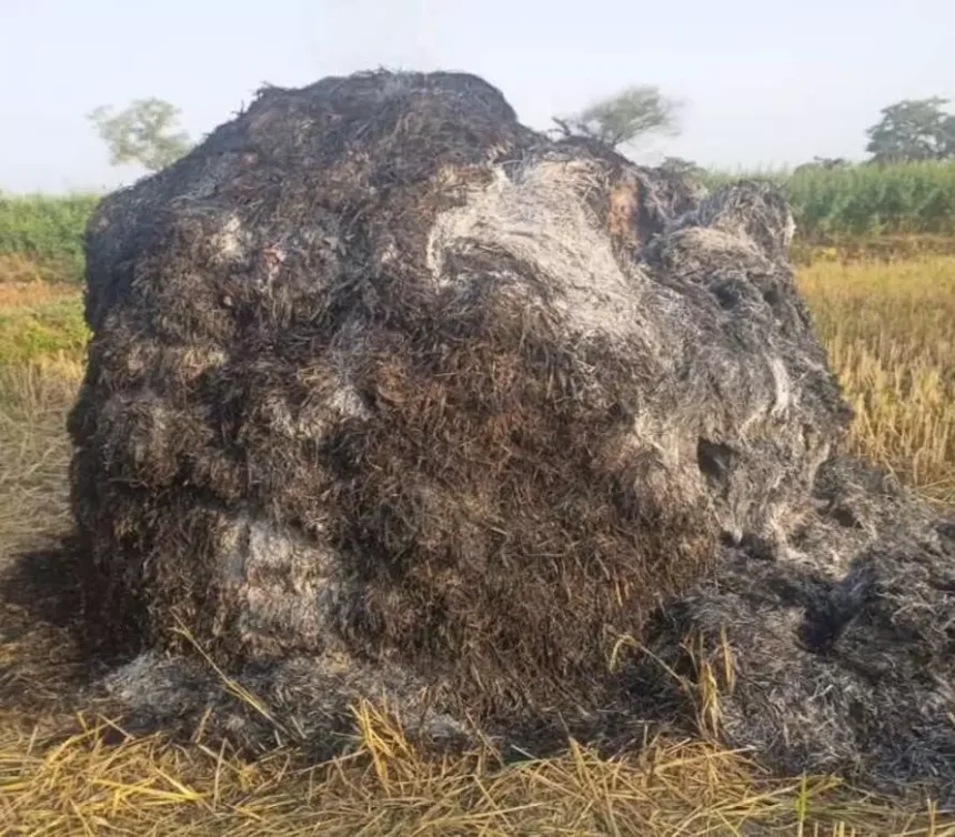 4173363 Untitled 43 Copy.webp.webp