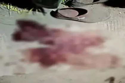 4173496 Untitled 8 Copy.webp.webp