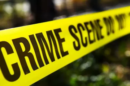 4181525 Untitled 32 Copy.webp.webp