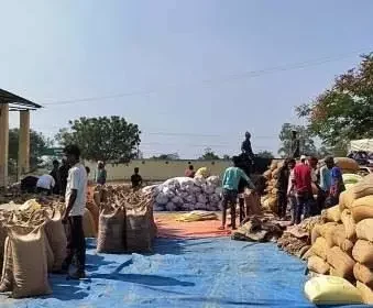 4189761 Untitled 20 Copy.webp.webp