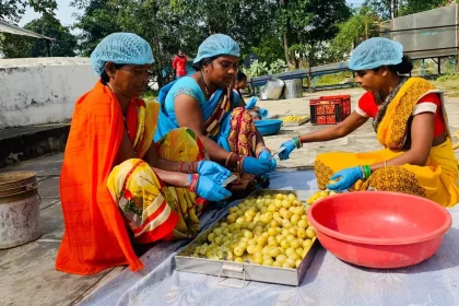 4191852 Untitled 8 Copy.webp.webp