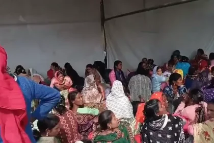 4193343 Untitled 28 Copy.webp.webp