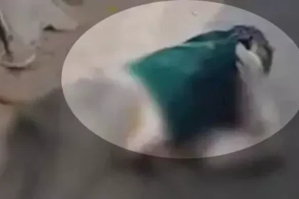 4193963 Untitled 56 Copy.webp.webp