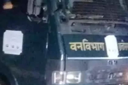 4194522 Untitled 25 Copy.webp.webp