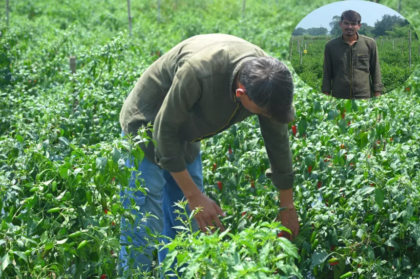 4194955 Untitled 7 Copy.webp.webp