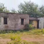 4198453 Untitled 44 Copy.webp.webp