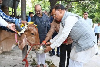 Img 20241102 Wa0141 1024x704.jpg