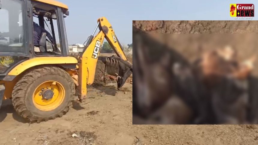 Jagesh Portal 22 1.jpg