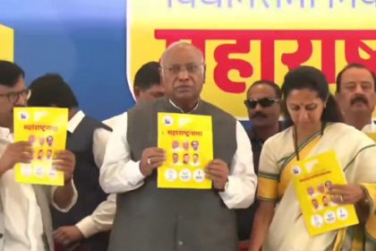 Orgycgs0zuy Hd 3 9 1.jpg