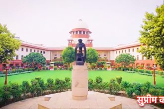 Punjab Diwali Bumper Lottery 2024 5 15 11 1 11.jpg