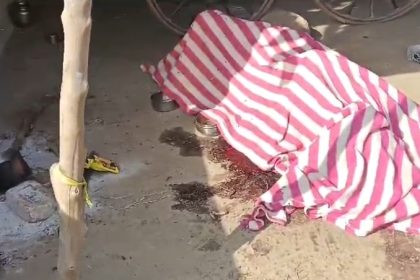 Screenshot 20241117 085414 Whatsapp