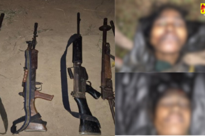 Untitled Design E1731904056418.png