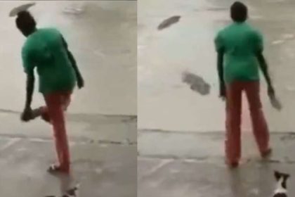Viral Crocodile Video