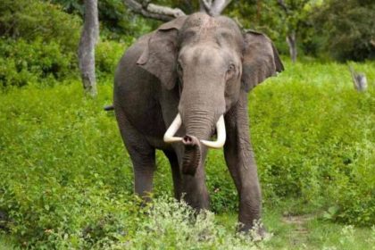 Whatsapp Image 2024 11 09 At 6.18.27 Pm.jpeg