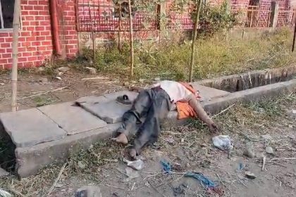 Whatsapp Image 2024 11 17 At 3.55.00 Pm.jpeg