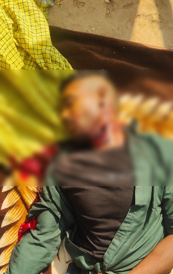 Whatsapp Image 2024 11 17 At 7.37.02 Pm.jpeg