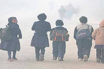 Whatsapp Image 2024 11 27 At 11.47.22 Am.jpeg