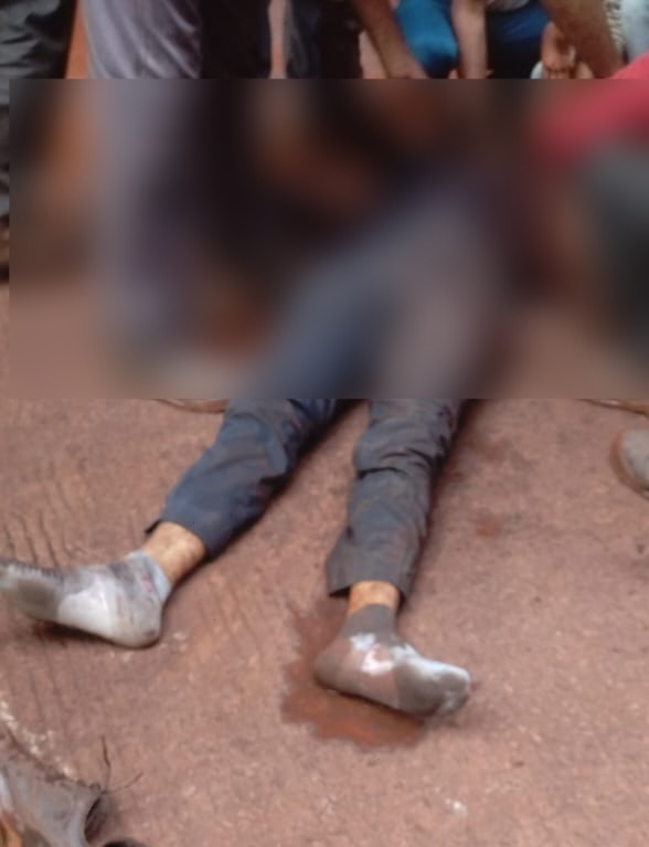 Whatsapp Image 2024 11 28 At 1.01.08 Pm.jpeg