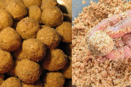 Winter Laddu 09 12 2023 1702115267