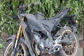 अनामांकित 1 E1730554133825.jpg