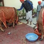 स्क्रीनशॉट 2024 11 02 172336.jpg