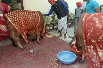 स्क्रीनशॉट 2024 11 02 172336.jpg