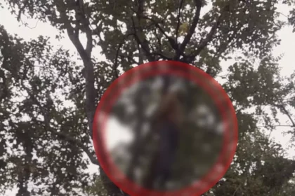 4201505 Untitled 59 Copy.webp.webp