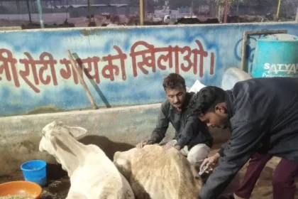 4209890 Untitled 11 Copy.webp.webp